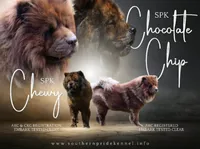 processed/91cdfc2b-522b-44bb-a79d-ace5630407b3/listing/7c7430b8-1466-4101-9a7e-507eee40475c/88695643-0ed0-4570-814b-ddf58e7a2401