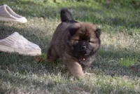 processed/91cdfc2b-522b-44bb-a79d-ace5630407b3/listing/7c7430b8-1466-4101-9a7e-507eee40475c/b834473e-96ba-44c4-8fb7-50b407ff502b