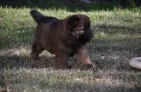 processed/91cdfc2b-522b-44bb-a79d-ace5630407b3/listing/7c7430b8-1466-4101-9a7e-507eee40475c/f8d4f7af-d557-4589-adff-866cee00fbee