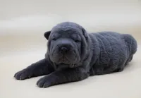 processed/91cdfc2b-522b-44bb-a79d-ace5630407b3/listing/84f3acc5-e5d7-4300-856d-1235d55d7062/3b2fbb00-6abc-4e6f-ad43-ee9106a418c9