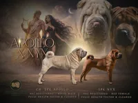 processed/91cdfc2b-522b-44bb-a79d-ace5630407b3/listing/84f3acc5-e5d7-4300-856d-1235d55d7062/48c97726-b20c-4de0-bd0e-a6f01e6f5970