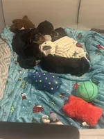 processed/91cec58d-0ceb-420d-87e0-95d84fb97254/facility/9573e8c0-1079-4f57-b15d-57095660a688