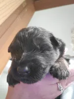 processed/91d4ee73-e1cf-4609-a54a-be6c27b4bde3/facility/5a270743-ad36-4dc8-ba0d-6aa27857f3f2