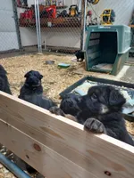 processed/91d4ee73-e1cf-4609-a54a-be6c27b4bde3/facility/7f3caeb1-de83-4cd2-9379-0b7704f1733f