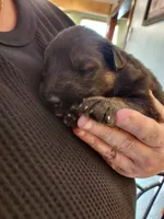 processed/91d4ee73-e1cf-4609-a54a-be6c27b4bde3/facility/9a7fc99a-cff5-4427-b85c-c6bda5aca413