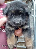 processed/91d4ee73-e1cf-4609-a54a-be6c27b4bde3/facility/9d50d45c-06cc-4926-9a2c-751a316899a6