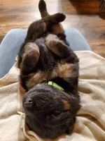 processed/91d4ee73-e1cf-4609-a54a-be6c27b4bde3/facility/ae0ed9ab-e70e-4a36-adcc-4ed270c6c3db