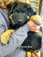 processed/91d4ee73-e1cf-4609-a54a-be6c27b4bde3/facility/bb71341a-f15e-4a55-bef5-f79064cecf8f