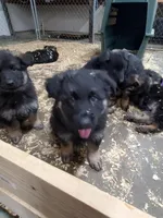 processed/91d4ee73-e1cf-4609-a54a-be6c27b4bde3/facility/e2e73da6-868a-486c-8ca4-eef59b03bb85