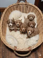 processed/91e0e3b2-3a0f-4d5c-9ec7-0a7ff550c04b/facility/cc0df891-697d-4eb6-a146-b25e7cbd905e