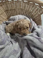 processed/91e0e3b2-3a0f-4d5c-9ec7-0a7ff550c04b/listing/1d7646a5-dfbb-4d79-a0e4-c9f2b8d19875/4a3016bf-ac5c-4143-966f-644c25632e67