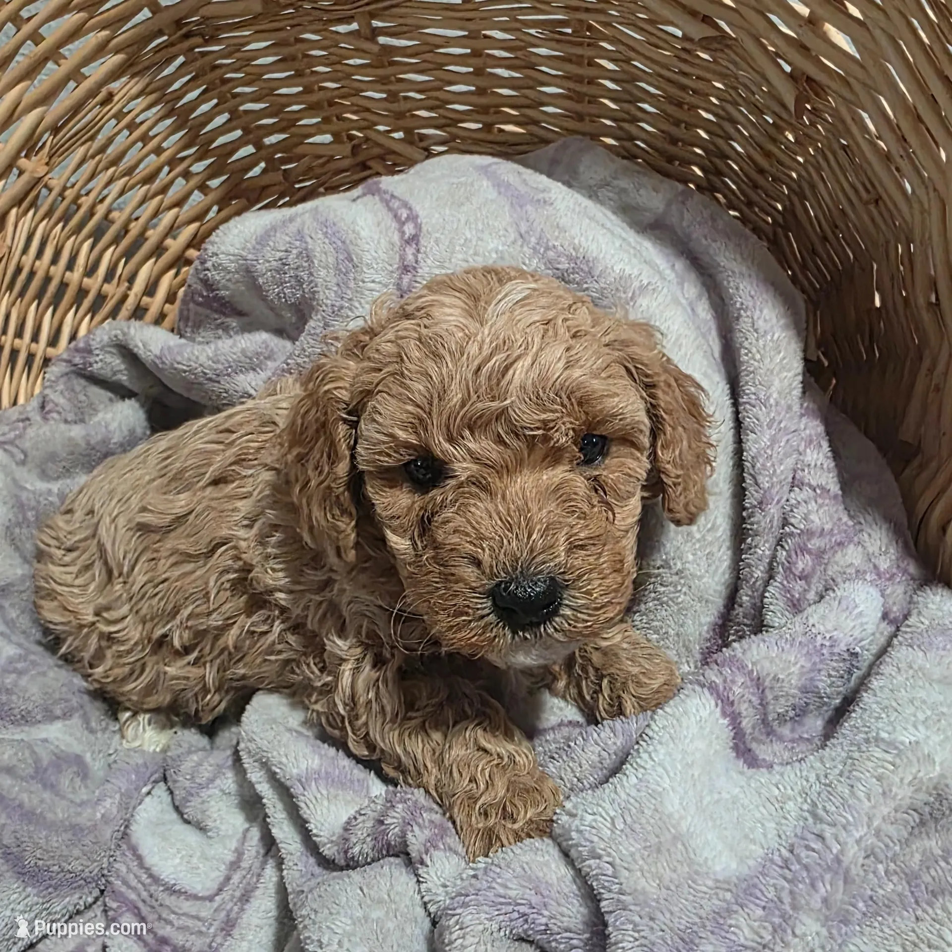 processed/91e0e3b2-3a0f-4d5c-9ec7-0a7ff550c04b/listing/1d7646a5-dfbb-4d79-a0e4-c9f2b8d19875/56beda45-3f52-4c18-a7c7-4ba59ccad47d