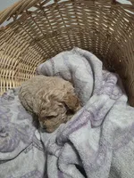 processed/91e0e3b2-3a0f-4d5c-9ec7-0a7ff550c04b/listing/63f7d977-d875-4b43-8309-d760e9967090/e8b4570b-b118-490b-a644-c496b4311cca