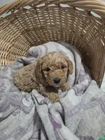 processed/91e0e3b2-3a0f-4d5c-9ec7-0a7ff550c04b/listing/63f7d977-d875-4b43-8309-d760e9967090/ec633dbb-c40d-45d1-a36e-dac3d6cb09c7