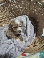 processed/91e0e3b2-3a0f-4d5c-9ec7-0a7ff550c04b/listing/b82b9eb3-10de-4149-847a-51f02d490cbd/399a49cd-89a2-474c-95ae-ed9148cccb48