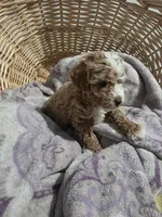 processed/91e0e3b2-3a0f-4d5c-9ec7-0a7ff550c04b/listing/b82b9eb3-10de-4149-847a-51f02d490cbd/f350f661-5789-4c3f-b0a3-abfe03e7b864