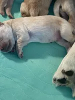 Facility photo