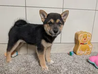 processed/91f6ae20-c732-45f0-b283-126b82bd3fe6/listing/783c34f1-26fa-4c61-a19b-f6fcf0d4dc15/007f2ac3-04ba-4eae-8043-dcbb2c46cc7b