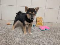 processed/91f6ae20-c732-45f0-b283-126b82bd3fe6/listing/783c34f1-26fa-4c61-a19b-f6fcf0d4dc15/0298472e-844b-4e4e-a76b-1b430fff3c35