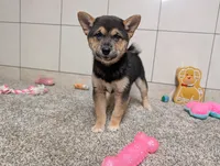 processed/91f6ae20-c732-45f0-b283-126b82bd3fe6/listing/783c34f1-26fa-4c61-a19b-f6fcf0d4dc15/536011d0-d802-4985-b679-97d60498de9a