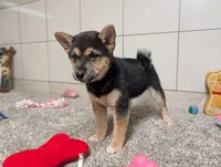 processed/91f6ae20-c732-45f0-b283-126b82bd3fe6/listing/783c34f1-26fa-4c61-a19b-f6fcf0d4dc15/5cc26450-9571-4561-9481-7e67900bfa5d