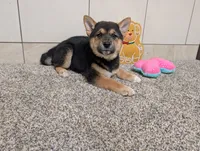 processed/91f6ae20-c732-45f0-b283-126b82bd3fe6/listing/783c34f1-26fa-4c61-a19b-f6fcf0d4dc15/e09f9a1a-6fa7-4769-84cf-bb0d10866a92