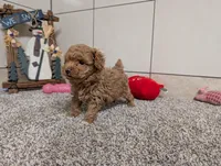 processed/91f6ae20-c732-45f0-b283-126b82bd3fe6/listing/9fdbda2a-403c-414c-9206-9c104cb0126d/0c3da880-c657-409f-b693-ea8df0f9f6ed