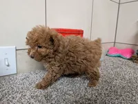 processed/91f6ae20-c732-45f0-b283-126b82bd3fe6/listing/9fdbda2a-403c-414c-9206-9c104cb0126d/176e0656-0335-4927-9f30-9533c1ad6fa4