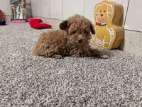 processed/91f6ae20-c732-45f0-b283-126b82bd3fe6/listing/9fdbda2a-403c-414c-9206-9c104cb0126d/2c88ed0b-646e-46a4-9698-c3f456d7879f