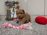 processed/91f6ae20-c732-45f0-b283-126b82bd3fe6/listing/9fdbda2a-403c-414c-9206-9c104cb0126d/6be32729-9f7f-4999-84e3-adb56ab42eb5