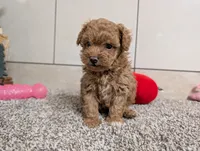 processed/91f6ae20-c732-45f0-b283-126b82bd3fe6/listing/9fdbda2a-403c-414c-9206-9c104cb0126d/b1ac09f2-18a9-43bf-9377-0b15e1954192