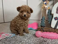 processed/91f6ae20-c732-45f0-b283-126b82bd3fe6/listing/9fdbda2a-403c-414c-9206-9c104cb0126d/b306078d-66d6-484a-82d7-d19a5642e48d