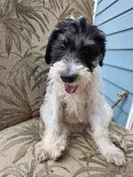 processed/92019b3e-993d-45ce-a1c6-681c34900131/listing/32cb207f-8fe8-402c-b3f5-71b5975cad96/02f4b83c-2407-4f57-8cae-b2c7304612d2