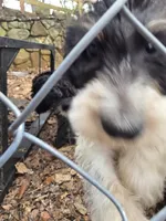 processed/92019b3e-993d-45ce-a1c6-681c34900131/listing/32cb207f-8fe8-402c-b3f5-71b5975cad96/07263bb0-8252-4a1a-b019-72946a7a2815