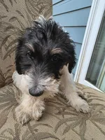 processed/92019b3e-993d-45ce-a1c6-681c34900131/listing/32cb207f-8fe8-402c-b3f5-71b5975cad96/20ea78b9-1d64-472d-b3f7-15eac373b118