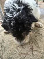 processed/92019b3e-993d-45ce-a1c6-681c34900131/listing/32cb207f-8fe8-402c-b3f5-71b5975cad96/4d4ed91f-17ed-4a05-908a-8858cce907f8