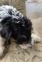 processed/92019b3e-993d-45ce-a1c6-681c34900131/listing/32cb207f-8fe8-402c-b3f5-71b5975cad96/4d8be03d-34c1-4c3b-9b65-749ee70dc701