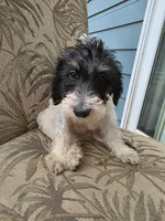 processed/92019b3e-993d-45ce-a1c6-681c34900131/listing/32cb207f-8fe8-402c-b3f5-71b5975cad96/71007cf2-260e-496f-932b-d1fa2698e870