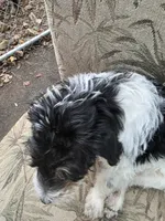 processed/92019b3e-993d-45ce-a1c6-681c34900131/listing/32cb207f-8fe8-402c-b3f5-71b5975cad96/cb6ded20-c752-4bb3-a8c9-2a2d8b766b84