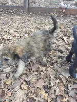 processed/92019b3e-993d-45ce-a1c6-681c34900131/listing/aef41a68-7208-4fa6-8b21-98fb5d94b6b1/2987649c-b75b-4658-aec5-591aff4ab466