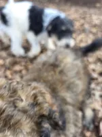 processed/92019b3e-993d-45ce-a1c6-681c34900131/listing/aef41a68-7208-4fa6-8b21-98fb5d94b6b1/2b66c25e-4f7e-4b84-a8b8-b5ab65fd7b7e