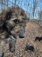 processed/92019b3e-993d-45ce-a1c6-681c34900131/listing/aef41a68-7208-4fa6-8b21-98fb5d94b6b1/47b82788-2040-48db-9d42-13b6c1d1c713