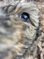 processed/92019b3e-993d-45ce-a1c6-681c34900131/listing/aef41a68-7208-4fa6-8b21-98fb5d94b6b1/5eea8fc5-0988-43fe-ae3a-8e55d5933f8d