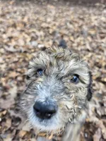 processed/92019b3e-993d-45ce-a1c6-681c34900131/listing/aef41a68-7208-4fa6-8b21-98fb5d94b6b1/94b7c29f-382c-4555-85b8-2e79defdf0ea