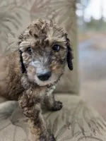 processed/92019b3e-993d-45ce-a1c6-681c34900131/listing/aef41a68-7208-4fa6-8b21-98fb5d94b6b1/b6205ffd-a6be-4d30-aa6c-3c55ac032de8