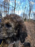 processed/92019b3e-993d-45ce-a1c6-681c34900131/listing/aef41a68-7208-4fa6-8b21-98fb5d94b6b1/ccc8422f-222f-435b-8c98-1c96a888be95