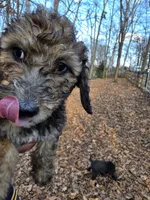 processed/92019b3e-993d-45ce-a1c6-681c34900131/listing/aef41a68-7208-4fa6-8b21-98fb5d94b6b1/debb5712-f469-4d8e-bfa9-6b59288cc5bd