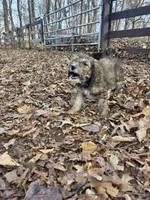 processed/92019b3e-993d-45ce-a1c6-681c34900131/listing/aef41a68-7208-4fa6-8b21-98fb5d94b6b1/f5e020d9-0d5f-4f8b-971b-71c2031be712