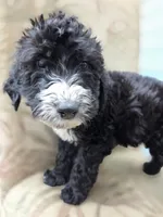 processed/92019b3e-993d-45ce-a1c6-681c34900131/listing/b8094cad-508e-4cdd-ac7e-707ebf402639/03b759f2-861c-4b69-8bcc-5a0f78b837f9