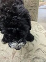 processed/92019b3e-993d-45ce-a1c6-681c34900131/listing/b8094cad-508e-4cdd-ac7e-707ebf402639/1e9b3072-fde3-4074-9713-d60e7902532b